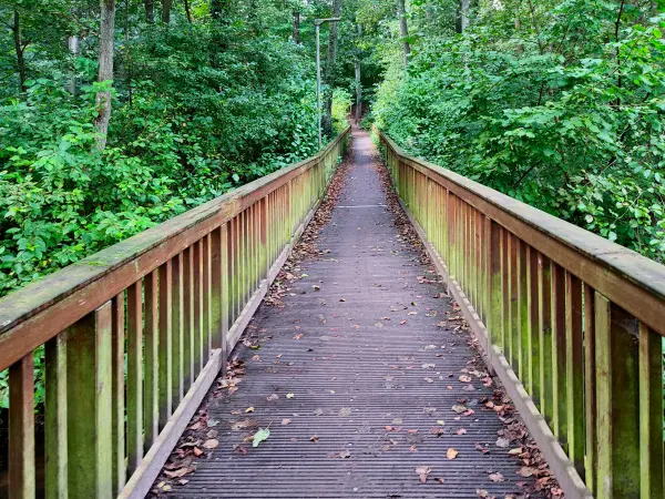 202309230-12 - Brücke über die Bille bei Aumühle, Herzogtum Lauenburg und Stormarn, Schleswig-Holstein, Deutschland