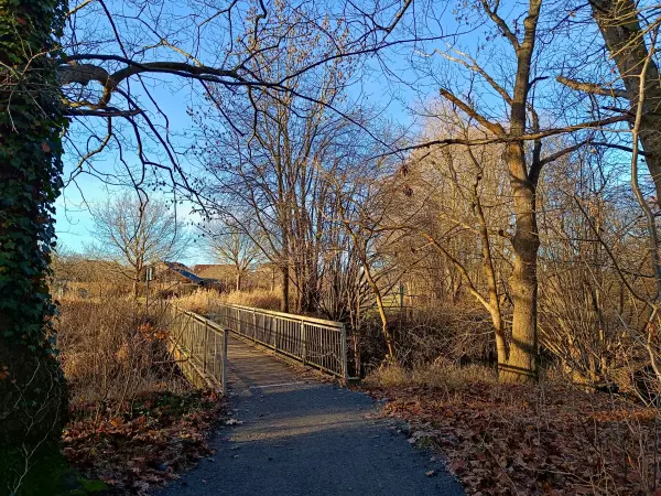 202512150-01 - Brücke über die Kleine Elster in Doberlug-Kirchhain, Elbe-Elster-Land, Brandenburg, Deutschland