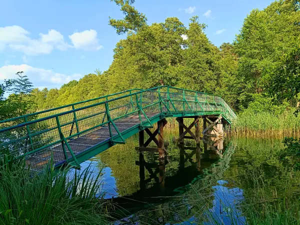 202506110-50 - Brücke über die Schmalung bei Pian, Ruppiner Seenland, Brandenburg, Deutschland
