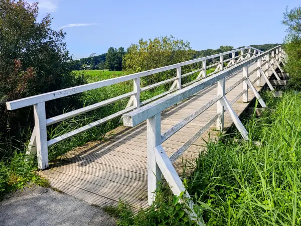 202308220-08 - Brücke über die Schwinge bei Stade, Niedersachsen, Deutschland