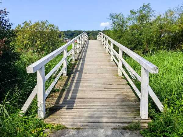 202308220-09 - Brücke über die Schwinge bei Stade, Niedersachsen, Deutschland