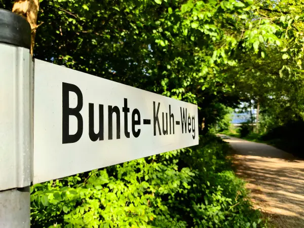 202308201-02 - Bunte-Kuh-Weg in Buxtehude, Niedersachsen, Deutschland