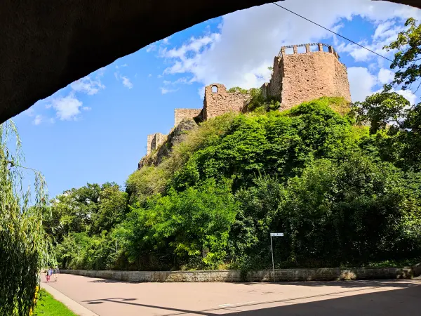 202308090-46 - Burg Giebichenstein in Halle, Sachsen-Anhalt, Deutschland