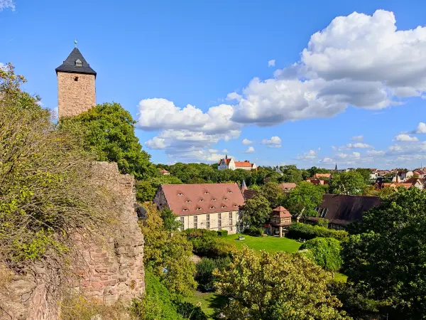 202308090-52 - Burg Giebichenstein in Halle, Sachsen-Anhalt, Deutschland