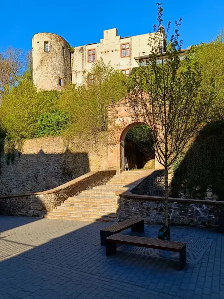 202604240-41 - Burg in Bad Münstereifel, Eifel, Nordrhein-Westfalen, Deutschland