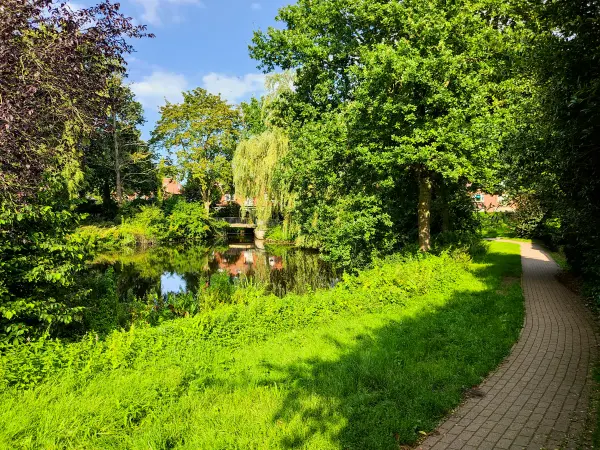 202308201-04 - Buxtehuder Stadtgraben in Buxtehude, Niedersachsen, Deutschland