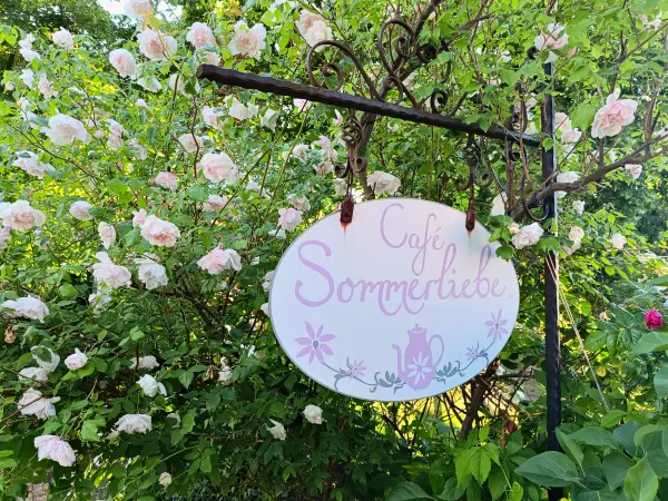 202606090-36 - Café Sommerliebe in Carwitz, Mecklenburgische Seenplatte, Mecklenburg-Vorpommern, Deutschland