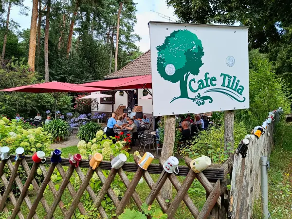 202508020-24 - Café Tilia in Waldsieversdorf, Märkische Schweiz, Seenland Oder-Spree, Brandenburg, Deutschland