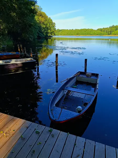 202509010-06 - Dagowsee bei Dagow, Ruppiner Seenland, Brandenburg, Deutschland