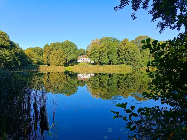 202509010-02 - Dagowsee bei Neuglobsow, Ruppiner Seenland, Brandenburg, Deutschland
