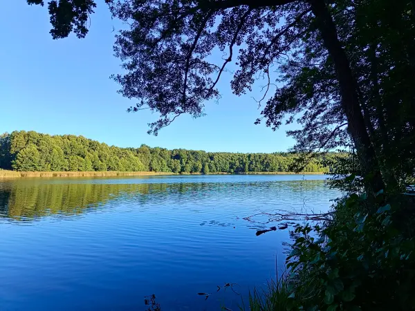 202509010-03 - Dagowsee bei Neuglobsow, Ruppiner Seenland, Brandenburg, Deutschland