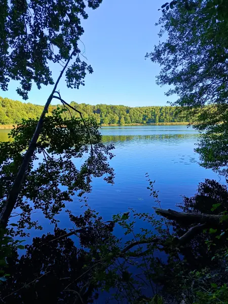 202509010-04 - Dagowsee bei Neuglobsow, Ruppiner Seenland, Brandenburg, Deutschland