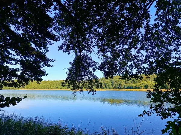 202509010-05 - Dagowsee bei Neuglobsow, Ruppiner Seenland, Brandenburg, Deutschland