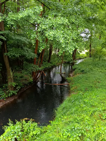 202507120-04 - Dahme bei Märkisch Buchholz, Dahme-Seenland, Brandenburg, Deutschland