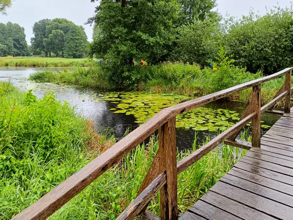 202507120-09 - Dahme bei Märkisch Buchholz, Dahme-Seenland, Brandenburg, Deutschland