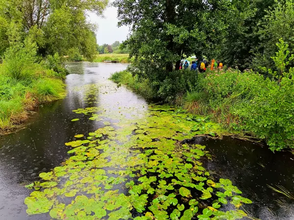 202507120-10 - Dahme bei Märkisch Buchholz, Dahme-Seenland, Brandenburg, Deutschland