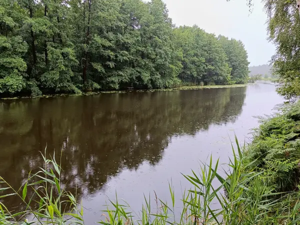 202507120-17 - Dahme bei Märkisch Buchholz, Dahme-Seenland, Brandenburg, Deutschland