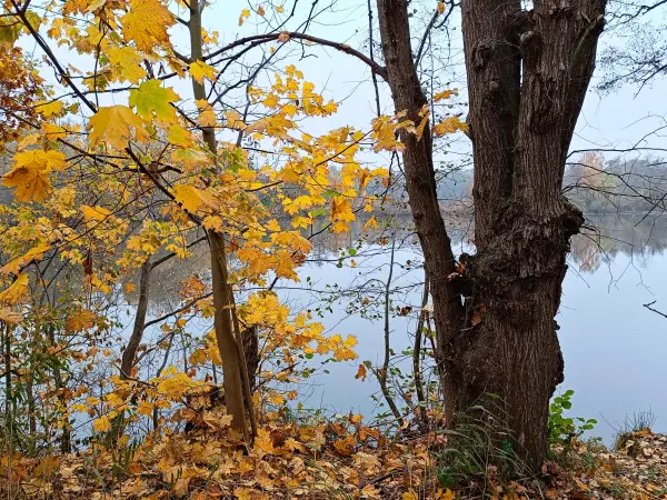 202511080-03 - Deetzer Erdelöcher bei Deetz, Havelland, Brandenburg, Deutschland