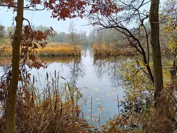 202511080-04 - Deetzer Erdelöcher bei Deetz, Havelland, Brandenburg, Deutschland