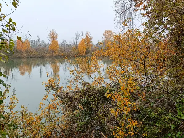 202511080-05 - Deetzer Erdelöcher bei Deetz, Havelland, Brandenburg, Deutschland