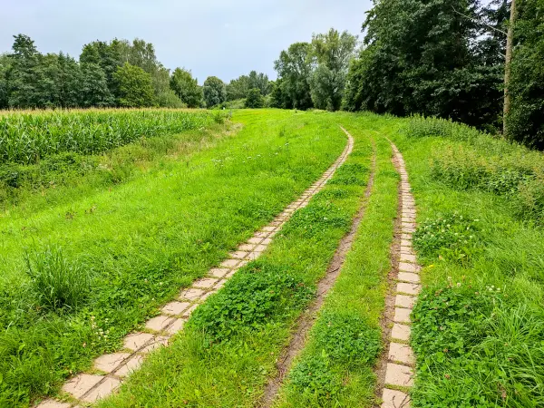 202308160-05 - Deichweg an der Hunte bei Wardenburg, Oldenburger Land, Niedersachsen, Deutschland