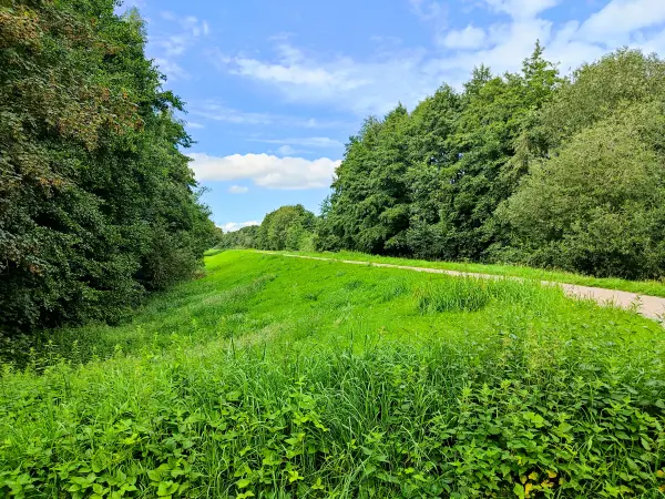 202308160-08 - Deichweg an der Hunte bei Wardenburg, Oldenburger Land, Niedersachsen, Deutschland