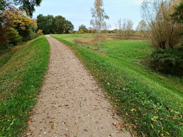 202410210-15 - Deichweg an der Ilmenau-Luhe-Niederung bei Winsen (Luhe), Lüneburger Heide, Niedersachsen, Deutschland