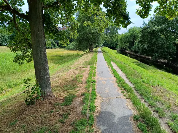 202407050-09 - Deichweg an der Panke im Wedding, Berlin, Deutschland