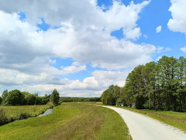 202605160-13 - Deichweg an der Spree bei Hartmannsdorf, Spreewald, Brandenburg, Deutschland