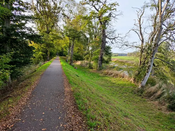 202310110-33 - Deichweg bei Vockerode, Anhalt-Dessau-Wittenberg, Sachen-Anhalt, Deutschland