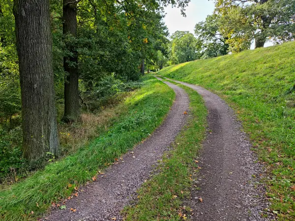 202310110-16 - Deichweg bei Wörlitz, Anhalt-Dessau-Wittenberg, Sachen-Anhalt, Deutschland