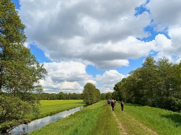 202605160-08 - Deichweg im Unterspreewald, Spreewald, Brandenburg, Deutschland