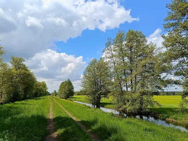 202605160-09 - Deichweg im Unterspreewald, Spreewald, Brandenburg, Deutschland