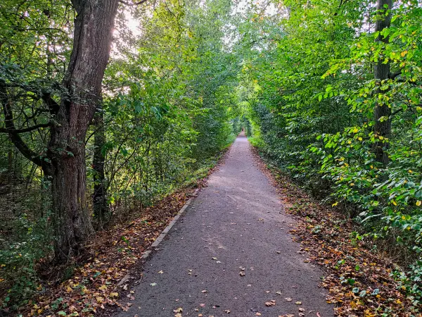 202310110-38 - Deichweg zwischen Waldersee und Vockerode, Anhalt-Dessau-Wittenberg, Sachen-Anhalt, Deutschland