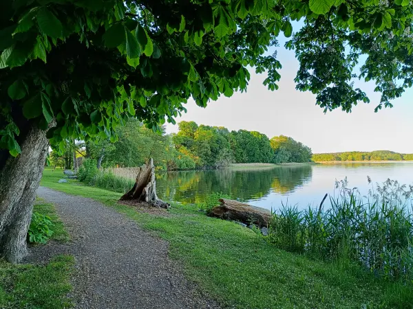 202605270-11 - Dobbertiner See bei Dobbertin, Mecklenburgische Seenplatte, Mecklenburg-Vorpommern, Deutschland
