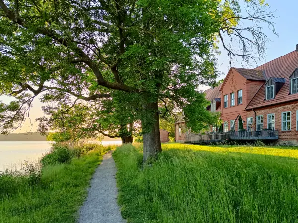 202605270-12 - Dobbertiner See bei Dobbertin, Mecklenburgische Seenplatte, Mecklenburg-Vorpommern, Deutschland