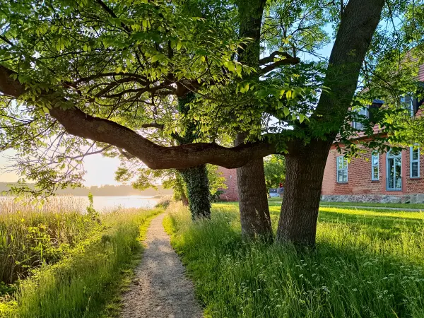 202605270-13 - Dobbertiner See bei Dobbertin, Mecklenburgische Seenplatte, Mecklenburg-Vorpommern, Deutschland