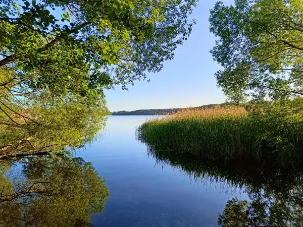 202605270-25 - Dobbertiner See bei Dobbertin, Mecklenburgische Seenplatte, Mecklenburg-Vorpommern, Deutschland