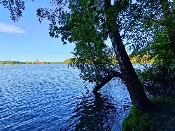 202605270-50 - Dobbertiner See bei Dobbertin, Mecklenburgische Seenplatte, Mecklenburg-Vorpommern, Deutschland