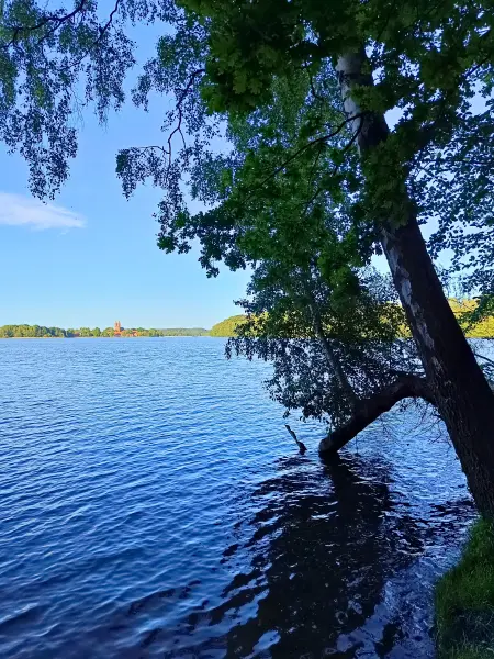202605270-51 - Dobbertiner See bei Dobbertin, Mecklenburgische Seenplatte, Mecklenburg-Vorpommern, Deutschland