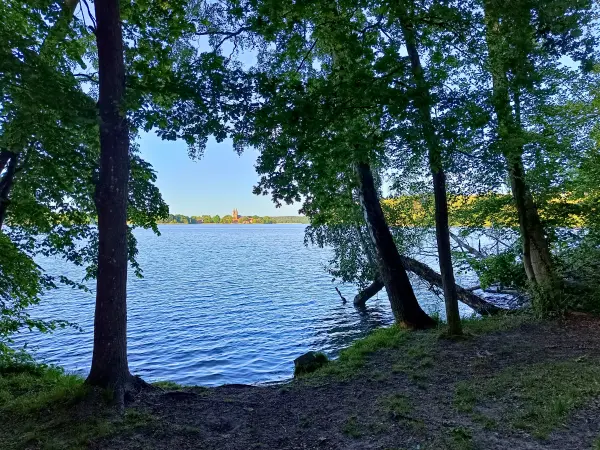 202605270-52 - Dobbertiner See bei Dobbertin, Mecklenburgische Seenplatte, Mecklenburg-Vorpommern, Deutschland