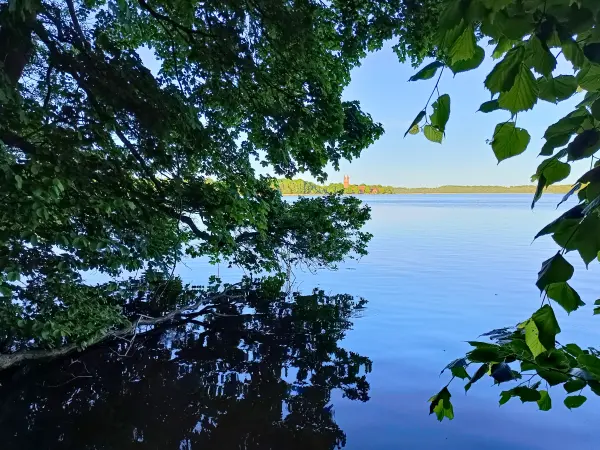 202605270-57 - Dobbertiner See bei Dobbertin, Mecklenburgische Seenplatte, Mecklenburg-Vorpommern, Deutschland