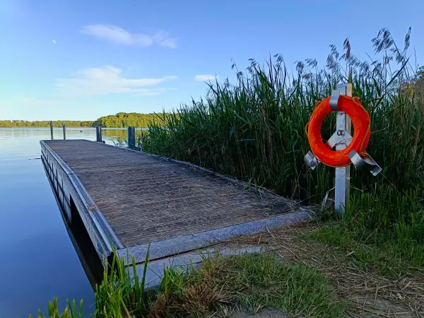 202605270-58 - Dobbertiner See bei Dobbertin, Mecklenburgische Seenplatte, Mecklenburg-Vorpommern, Deutschland