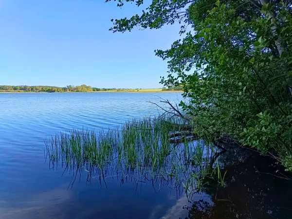 202605270-40 - Dobbertiner See, Mecklenburgische Seenplatte, Mecklenburg-Vorpommern, Deutschland