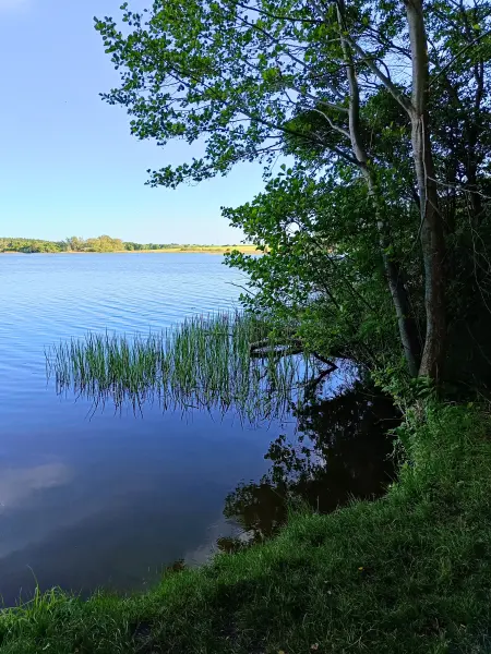 202605270-41 - Dobbertiner See, Mecklenburgische Seenplatte, Mecklenburg-Vorpommern, Deutschland