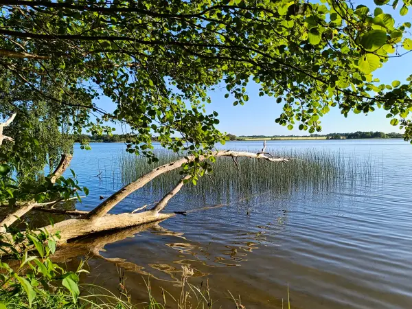 202605270-43 - Dobbertiner See, Mecklenburgische Seenplatte, Mecklenburg-Vorpommern, Deutschland