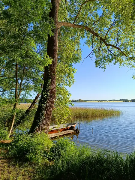 202605270-45 - Dobbertiner See, Mecklenburgische Seenplatte, Mecklenburg-Vorpommern, Deutschland