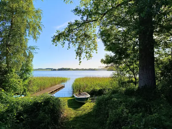 202605270-46 - Dobbertiner See, Mecklenburgische Seenplatte, Mecklenburg-Vorpommern, Deutschland