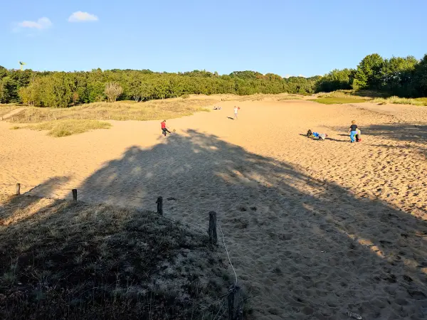 202309241-12 - Dünen in der Boberger Niederung, Hamburg, Deutschland