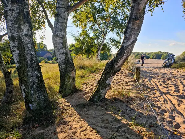 202309241-14 - Dünen in der Boberger Niederung, Hamburg, Deutschland